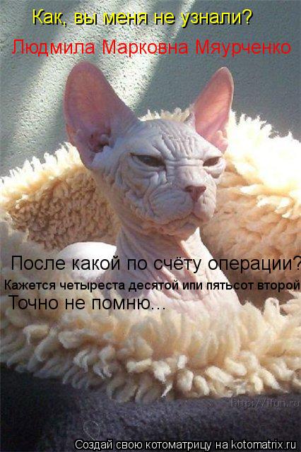 Людмила Марковна Мяурченко Как, вы меня не узнали? После какой по счёту операции? Кажется четыреста д... Котоматрица: Людмила Марковна Мяурченко Как, вы меня не узнали? После какой по счёту операции? Кажется четыреста десятой ипи пятьсот второй... Точно не по