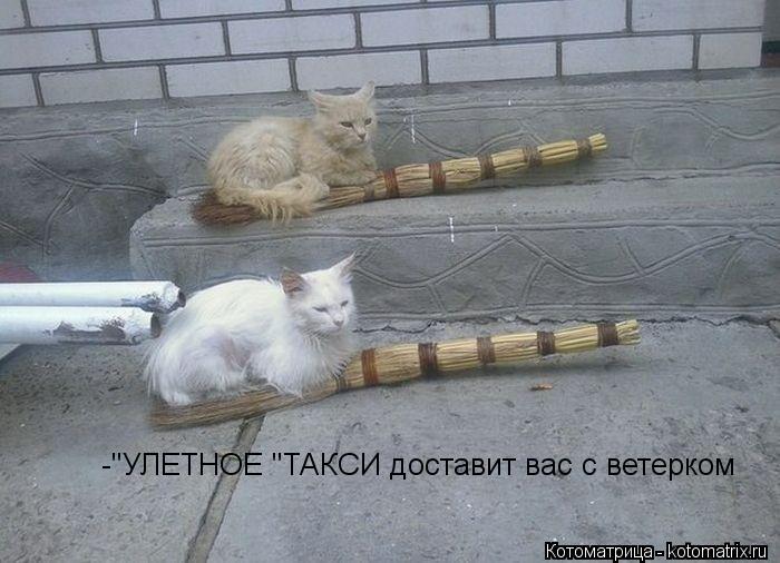 -"УЛЕТНОЕ "ТАКСИ доставит вас с ветерком... Котоматрица: -"УЛЕТНОЕ "ТАКСИ доставит вас с ветерком