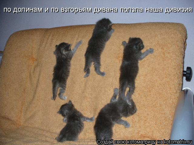 по долинам и по взгорьям дивана ползла наша дивизия... Котоматрица: по долинам и по взгорьям дивана ползла наша дивизия