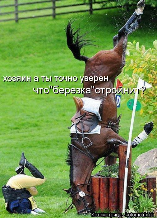 хозяин а ты точно уверен что"березка"стройнит?... Котоматрица: хозяин а ты точно уверен что"березка"стройнит?