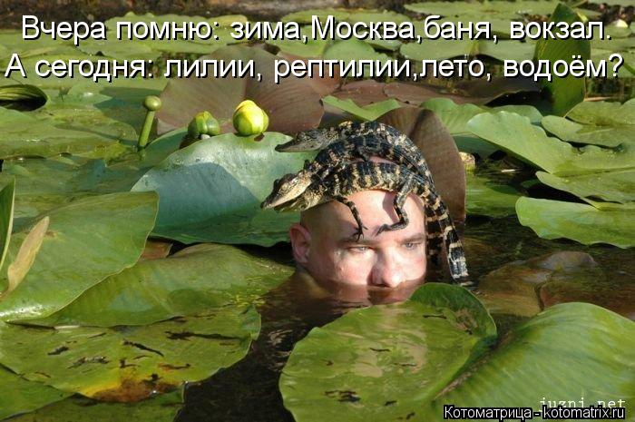 Вчера помню: зима,Москва,баня, вокзал. А сегодня: лилии, рептилии,лето, водоём?... Котоматрица: Вчера помню: зима,Москва,баня, вокзал. А сегодня: лилии, рептилии,лето, водоём?
