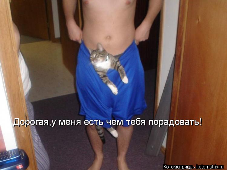 Дорогая,у меня есть чем тебя порадовать!... Котоматрица: Дорогая,у меня есть чем тебя порадовать!