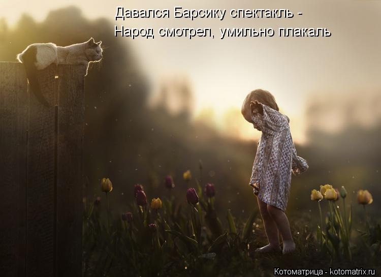 Давался Барсику спектакль - Народ смотрел, умильно плакаль... Котоматрица: Давался Барсику спектакль - Народ смотрел, умильно плакаль