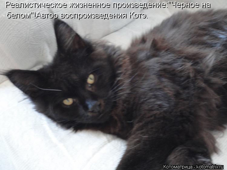 Реалистическое жизненное произведение:"Черное на белом"!Автор воспроизведения Котэ.... Котоматрица: Реалистическое жизненное произведение:"Черное на белом"!Автор воспроизведения Котэ.