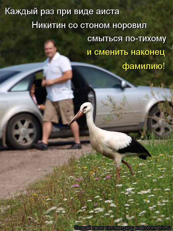 Каждый раз при виде аиста Никитин со стоном норовил смыться по-тихому и сменить наконец фамилию!... Котоматрица: Каждый раз при виде аиста Никитин со стоном норовил смыться по-тихому и сменить наконец фамилию!
