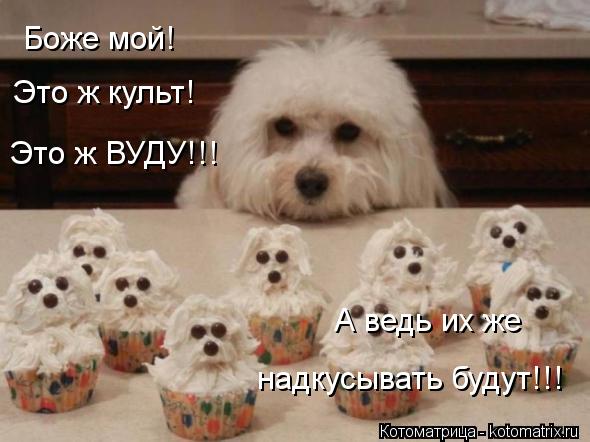 Боже мой! Это ж культ! Это ж ВУДУ!!! А ведь их же надкусывать будут!!!... Котоматрица: Боже мой! Это ж культ! Это ж ВУДУ!!! А ведь их же надкусывать будут!!!