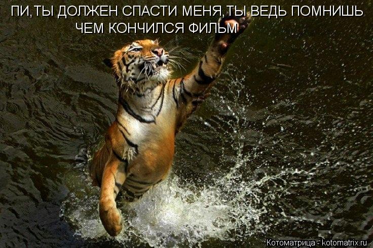 ПИ,ТЫ ДОЛЖЕН СПАСТИ МЕНЯ,ТЫ ВЕДЬ ПОМНИШЬ ЧЕМ КОНЧИЛСЯ ФИЛЬМ... Котоматрица: ПИ,ТЫ ДОЛЖЕН СПАСТИ МЕНЯ,ТЫ ВЕДЬ ПОМНИШЬ ЧЕМ КОНЧИЛСЯ ФИЛЬМ