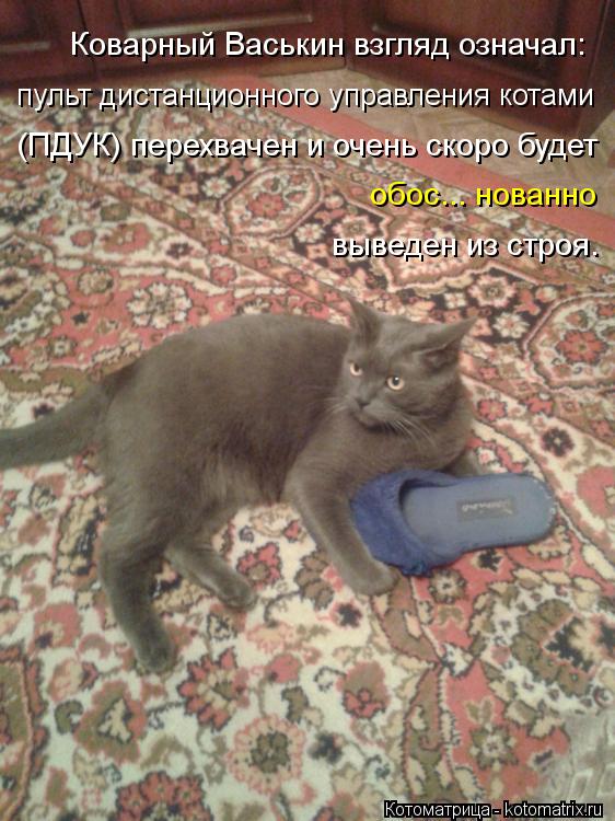 пульт дистанционного управления котами Коварный Васькин взгляд означал: (ПДУК) перехвачен и очень ск... Котоматрица: пульт дистанционного управления котами Коварный Васькин взгляд означал: (ПДУК) перехвачен и очень скоро будет обос... нованно выведен из с