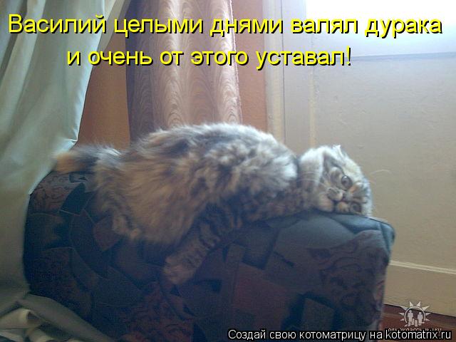 и очень от этого уставал! Василий целыми днями валял дурака... Котоматрица: и очень от этого уставал! Василий целыми днями валял дурака