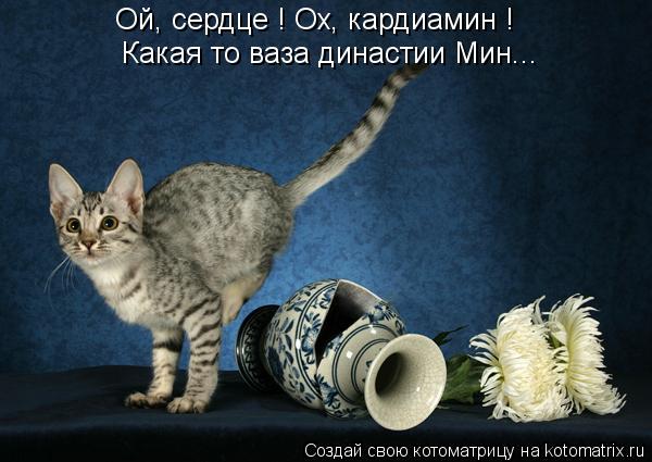 Ой, сердце ! Ох, кардиамин ! Какая то ваза династии Мин...... Котоматрица: Ой, сердце ! Ох, кардиамин ! Какая то ваза династии Мин...