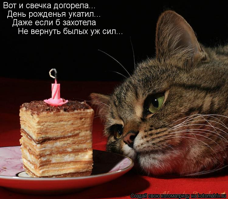 Вот и свечка догорела... День рожденья укатил... Даже если б захотела Не вернуть былых уж сил...... Котоматрица: Вот и свечка догорела... День рожденья укатил... Даже если б захотела Не вернуть былых уж сил...