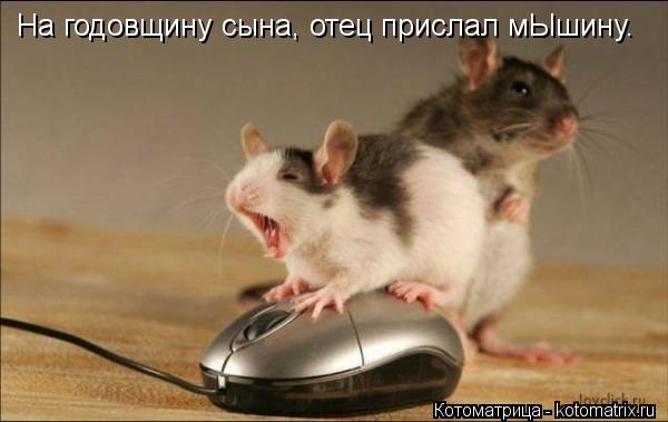 На годовщину сына, отец прислал мЫшину.... Котоматрица: На годовщину сына, отец прислал мЫшину.