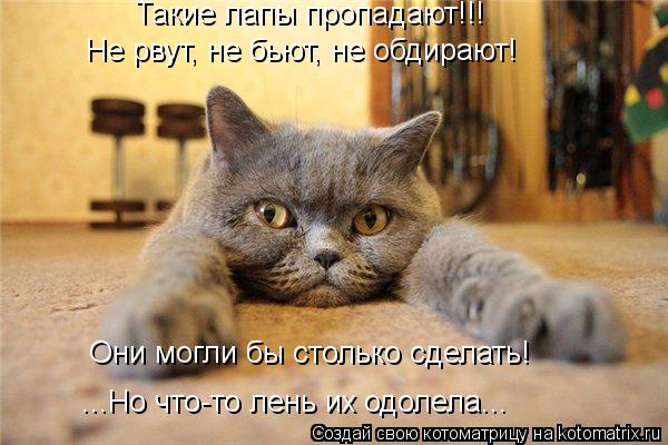 Такие лапы пропадают!!! Не рвут, не бьют, не обдирают! Они могли бы столько сделать! ...Но что-то лен... Котоматрица: Такие лапы пропадают!!! Не рвут, не бьют, не обдирают! Они могли бы столько сделать! ...Но что-то лень их одолела...