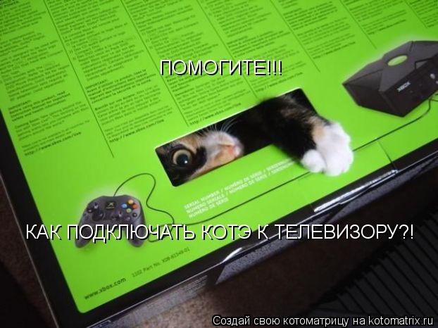 ПОМОГИТЕ!!! КАК ПОДКЛЮЧАТЬ КОТЭ К ТЕЛЕВИЗОРУ?!... Котоматрица: ПОМОГИТЕ!!! КАК ПОДКЛЮЧАТЬ КОТЭ К ТЕЛЕВИЗОРУ?!