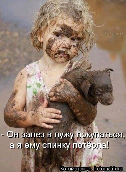 - Он залез в лужу покупаться, а я ему спинку потёрла!... Котоматрица: - Он залез в лужу покупаться, а я ему спинку потёрла!