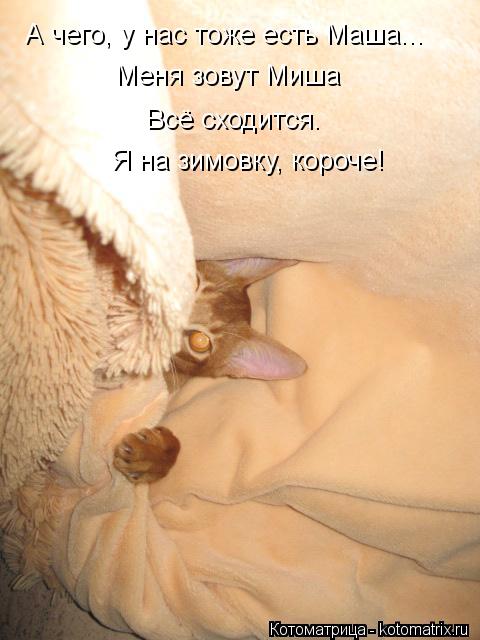 А чего, у нас тоже есть Маша... Меня зовут Миша Всё сходится. Я на зимовку, короче!... Котоматрица: А чего, у нас тоже есть Маша... Меня зовут Миша Всё сходится. Я на зимовку, короче!