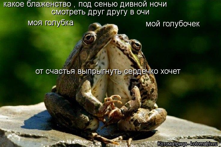 какое блаженство , под сенью дивной ночи смотреть друг другу в очи моя голубка мой голубочек от сч... Котоматрица: какое блаженство , под сенью дивной ночи смотреть друг другу в очи моя голубка мой голубочек от счастья выпрыгнуть сердечко хочет