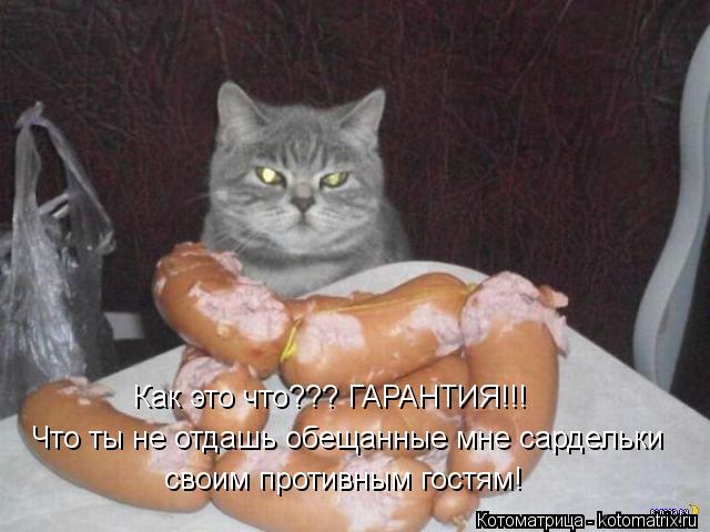 Как это что??? ГАРАНТИЯ!!! Что ты не отдашь обещанные мне сардельки своим противным гостям!... Котоматрица: Как это что??? ГАРАНТИЯ!!! Что ты не отдашь обещанные мне сардельки своим противным гостям!