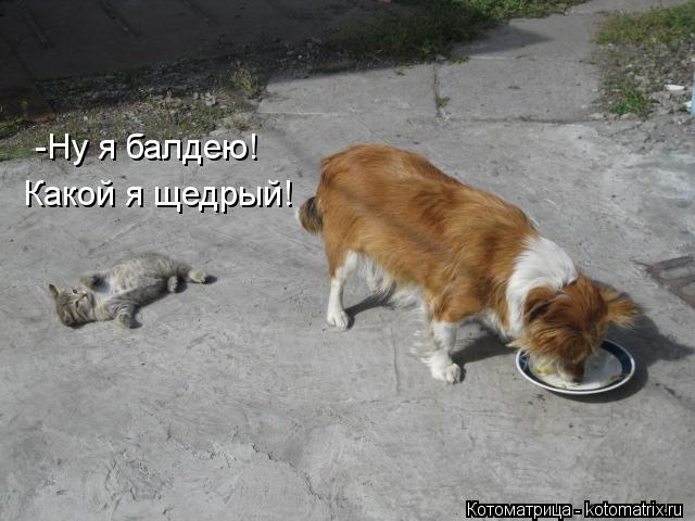 Котоматрица: -Ну я балдею! Какой я щедрый!