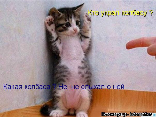 Кто украл колбасу ? Какая колбаса ? Не, не слыхал о ней... Котоматрица: Кто украл колбасу ? Какая колбаса ? Не, не слыхал о ней