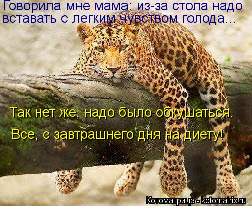 Говорила мне мама: из-за стола надо вставать с легким чувством голода... Так нет же, надо было обкуша... Котоматрица: Говорила мне мама: из-за стола надо вставать с легким чувством голода... Так нет же, надо было обкушаться. Все, с завтрашнего дня на диету!