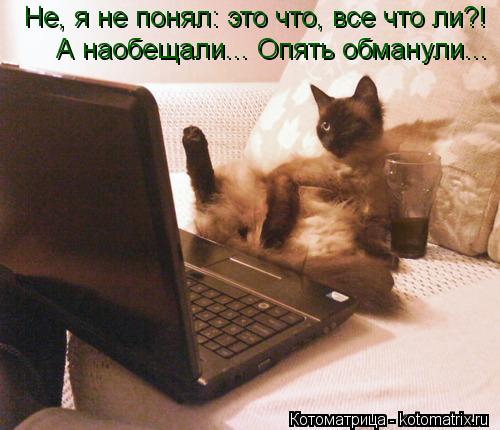 Не, я не понял: это что, все что ли?! А наобещали... Опять обманули...... Котоматрица: Не, я не понял: это что, все что ли?! А наобещали... Опять обманули...