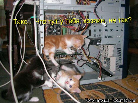 Такс... Что тут у тебя, хозяин, не так?... Котоматрица: Такс... Что тут у тебя, хозяин, не так?