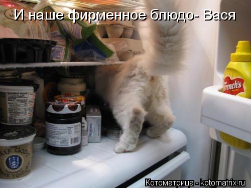 И наше фирменное блюдо- Вася... Котоматрица: И наше фирменное блюдо- Вася
