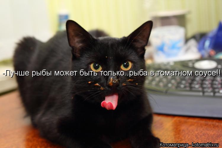 -Лучше рыбы может быть только..рыба в томатном соусе!!... Котоматрица: -Лучше рыбы может быть только..рыба в томатном соусе!!