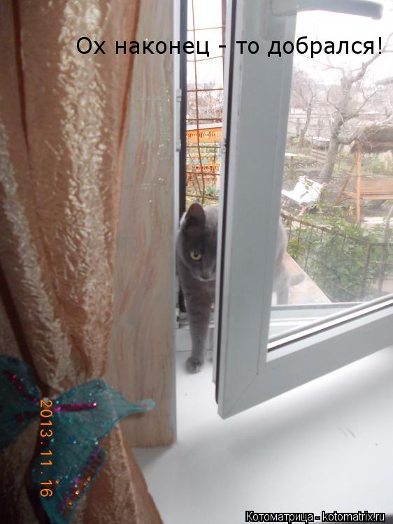Ох наконец - то добрался!... Котоматрица: Ох наконец - то добрался!