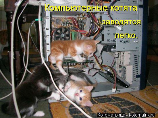 Котоматрица: Компьютерные котята  заводятся  легко.