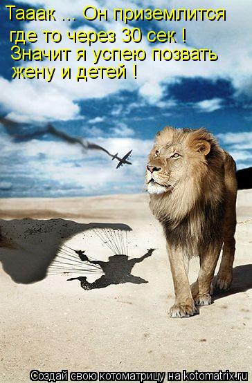 Тааак ... Он приземлится где то через 30 сек ! Значит я успею позвать жену и детей !... Котоматрица: Тааак ... Он приземлится где то через 30 сек ! Значит я успею позвать жену и детей !