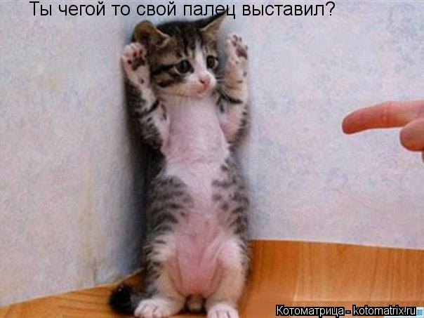 Ты чегой то свой палец выставил?... Котоматрица: Ты чегой то свой палец выставил?