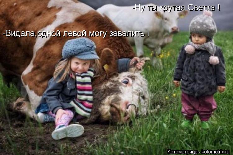 -Видала,одной левой могу завалить ! -Ну ты крутая Светка !... Котоматрица: -Видала,одной левой могу завалить ! -Ну ты крутая Светка !