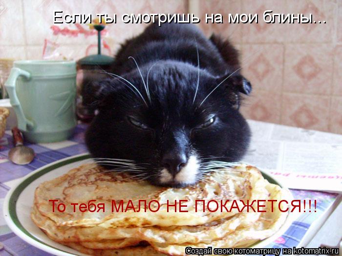 Если ты смотришь на мои блины... То тебя МАЛО НЕ ПОКАЖЕТСЯ!!!... Котоматрица: Если ты смотришь на мои блины... То тебя МАЛО НЕ ПОКАЖЕТСЯ!!!