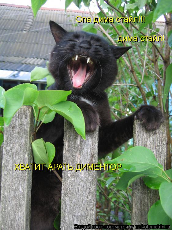 Опа дима стайл!!! дима стайл! ХВАТИТ АРАТЬ ДИМЕНТОР... Котоматрица: Опа дима стайл!!! дима стайл! ХВАТИТ АРАТЬ ДИМЕНТОР