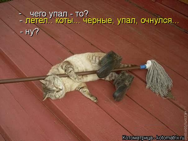 - чего упал - то? - летел.. коты... черные, упал, очнулся... - ну?... Котоматрица: - чего упал - то? - летел.. коты... черные, упал, очнулся... - ну?