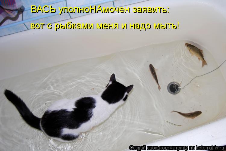 Котоматрица: ВАСЬ уполноНАмочен заявить: вот с рыбками меня и надо мыть!