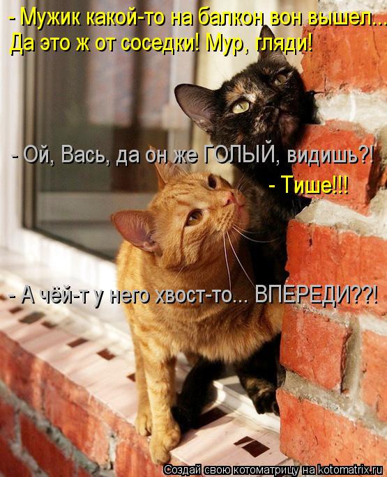 - Мужик какой-то на балкон вон вышел... Да это ж от соседки! Мур, гляди! - Ой, Вась, да он же ГОЛЫЙ, ... Котоматрица: - Мужик какой-то на балкон вон вышел... Да это ж от соседки! Мур, гляди! - Ой, Вась, да он же ГОЛЫЙ, видишь?! - Тише!!! - А чёй-т у него хвост-то... ВПЕРЕ