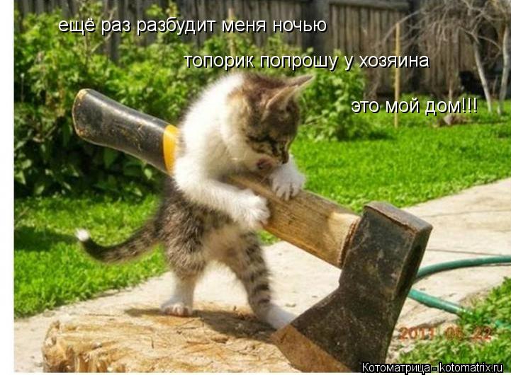 ещё раз разбудит меня ночью топорик попрошу у хозяина это мой дом!!!... Котоматрица: ещё раз разбудит меня ночью топорик попрошу у хозяина это мой дом!!!