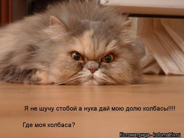 Я не шучу стобой а нука дай мою долю колбасы!!!! Где моя колбаса?... Котоматрица: Я не шучу стобой а нука дай мою долю колбасы!!!! Где моя колбаса?
