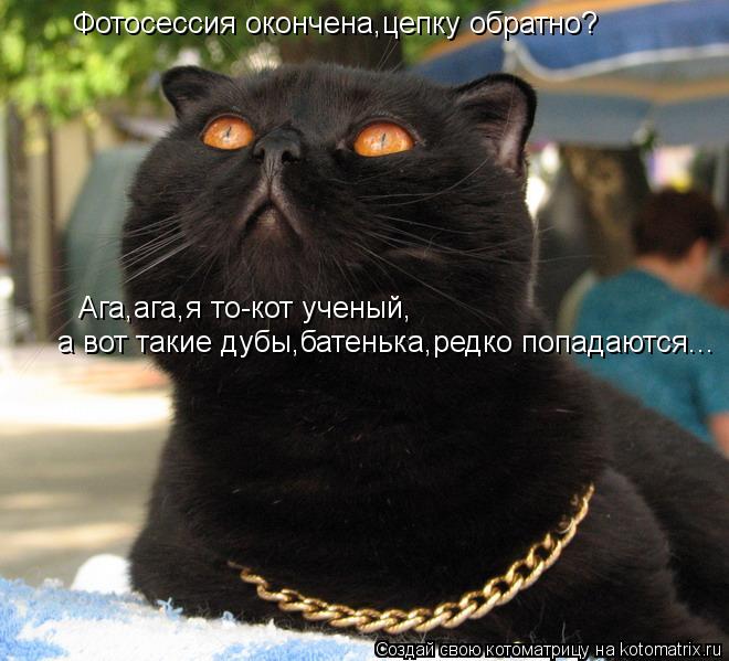 Фотосессия окончена,цепку обратно? Ага,ага,я то-кот ученый, а вот такие дубы,батенька,редко попадаютс... Котоматрица: Фотосессия окончена,цепку обратно? Ага,ага,я то-кот ученый, а вот такие дубы,батенька,редко попадаются...