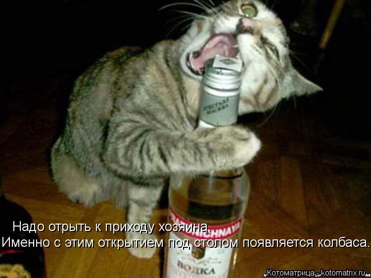 Надо отрыть к приходу хозяина. Именно с этим открытием под столом появляется колбаса.... Котоматрица: Надо отрыть к приходу хозяина. Именно с этим открытием под столом появляется колбаса.