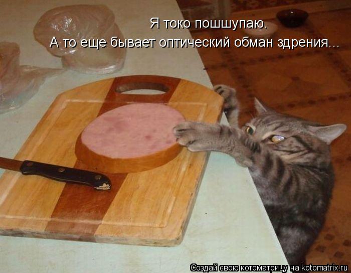 Я токо пошшупаю.А то еще бывает оптический обман здрения. Я токо пошшупаю. А то еще бывает оптический... Котоматрица: Я токо пошшупаю.А то еще бывает оптический обман здрения. Я токо пошшупаю. А то еще бывает оптический обман здрения...