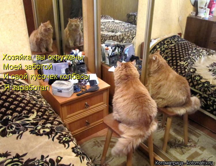 Хозяйка, вы окружены Моей заботой И свой кусочек колбасы Я заработал... Котоматрица: Хозяйка, вы окружены Моей заботой И свой кусочек колбасы Я заработал