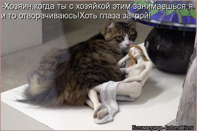 -Хозяин,когда ты с хозяйкой этим занимаешься,я и то отворачиваюсь!Хоть глаза закрой!... Котоматрица: -Хозяин,когда ты с хозяйкой этим занимаешься,я и то отворачиваюсь!Хоть глаза закрой!