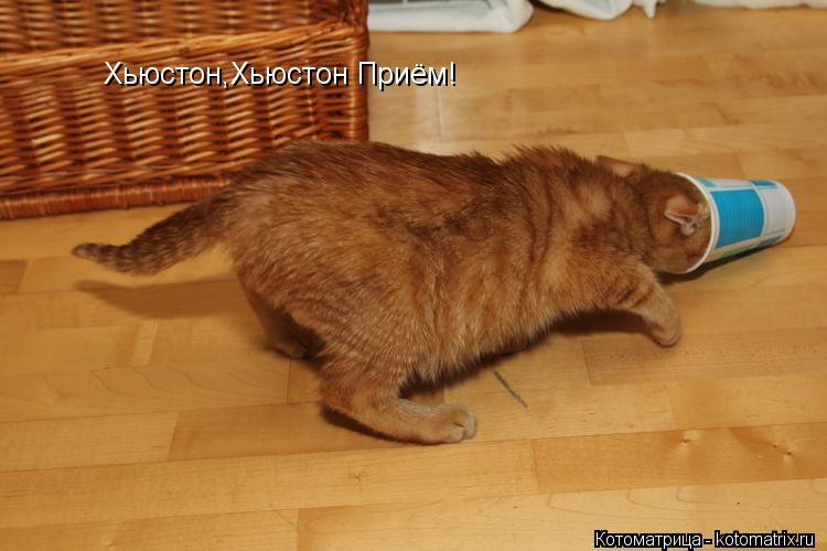 Хьюстон,Хьюстон Приём!... Котоматрица: Хьюстон,Хьюстон Приём!