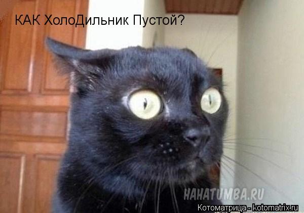 КАК ХолоДильник Пустой?... Котоматрица: КАК ХолоДильник Пустой?