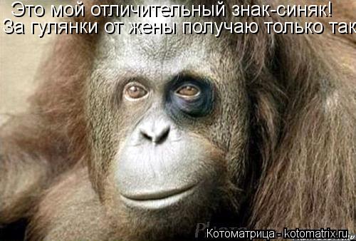 Это мой отличительный знак-синяк! За гулянки от жены получаю только так!... Котоматрица: Это мой отличительный знак-синяк! За гулянки от жены получаю только так!