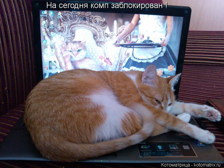 На сегодня комп заблокирован !... Котоматрица: На сегодня комп заблокирован !